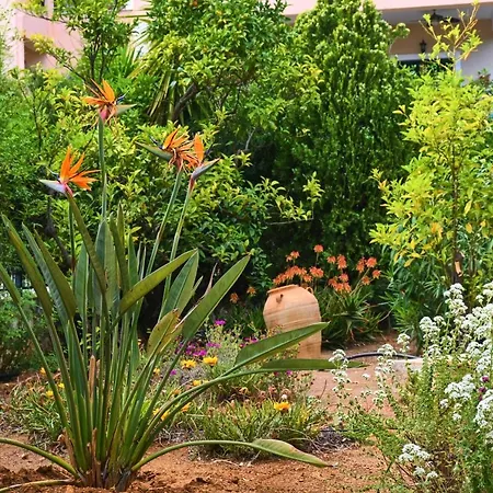 別荘 Pavlos' With View *