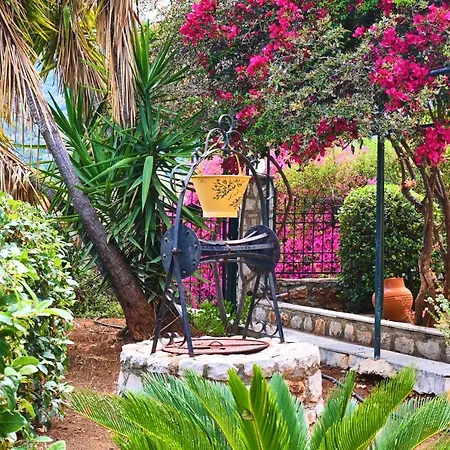 Pavlos' With View 別荘 Kórfos