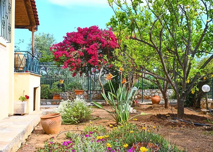 別荘 Pavlos' With View *