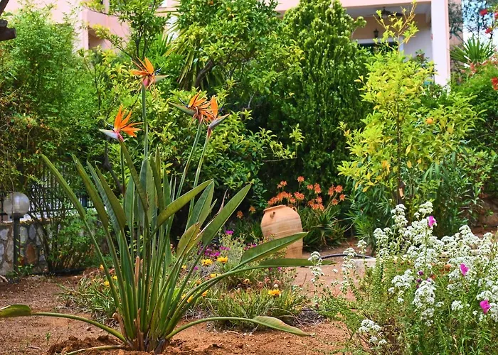 Semesterbostad Pavlos' With View *